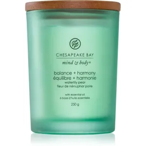 Chesapeake Bay Candle Mind & Body Balance & Harmony scented candle 250 g