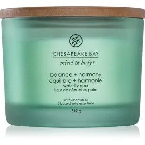 Chesapeake Bay Candle Mind & Body Balance & Harmony scented candle I. 312 g