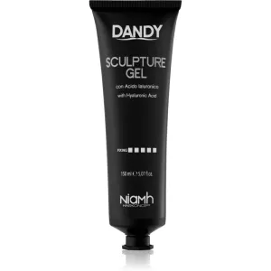 DANDY Sculpture Gel hair gel with strong hold 150 ml #1691558
