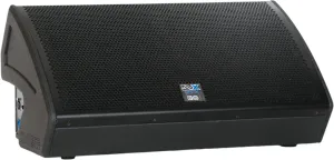 dB Technologies DVX DM12 TH Active Stage Monitor