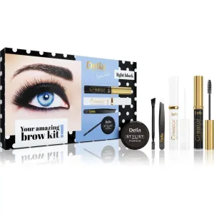 Delia Cosmetics Eyebrow Expert Light Black gift set for eyebrows #213518