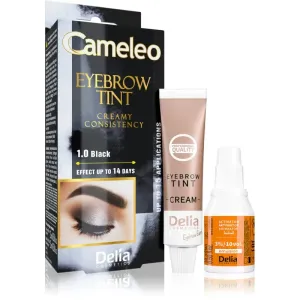 Delia Cosmetics Cameleo professional cream eyebrow dye ammonia-free shade 1.0 Black 15 ml