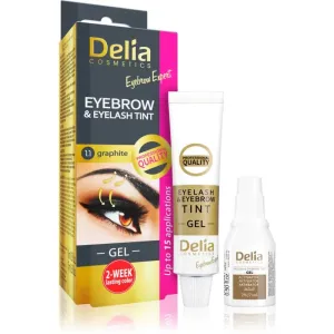 Delia Cosmetics Eyebrow Expert eyebrow and eyelash tint with activator shade 1.1. Graphite 2 x 15 ml #243161