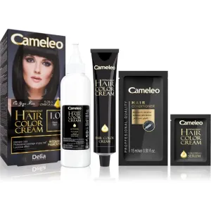 Delia Cosmetics Cameleo Omega permanent hair dye shade 1.0 Black