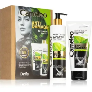 Delia Cosmetics Cameleo Anti Damage Gift Set (For Damaged And Fragile Hair)