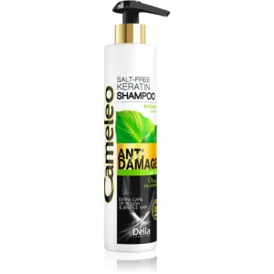 Delia Cosmetics Cameleo BB keratin shampoo for damaged hair 250 ml