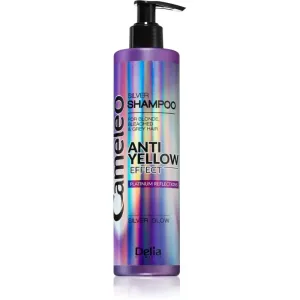 Delia Cosmetics Cameleo Silver shampoo neutralising yellow tones 250 ml