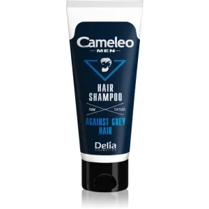 Delia Cosmetics Cameleo Men shampoo to prevent dark hair from going grey 150 ml #250816