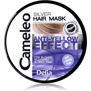 Delia Cosmetics Cameleo Silver hair mask neutralising yellow tones 200 ml #230664