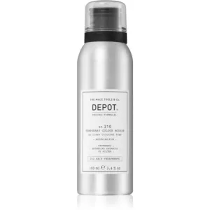 Depot No. 210 Temporary Colour Mousse styling colour mousse for hair 100 ml
