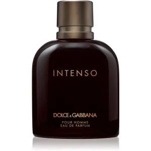 Dolce&Gabbana Pour Homme Intenso eau de parfum for men 200 ml