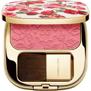 Dolce&Gabbana DNA BASE BLUSH OF ROSES blusher shade PROVOCATIVE 200 5 g