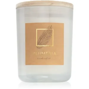 DW Home Plumeria scented candle 434 g