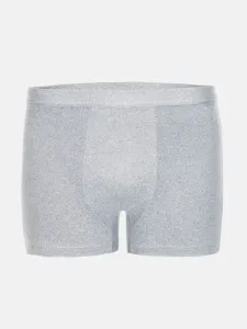 Edoti Boxer shorts Grey