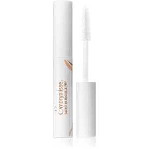 Embryolisse Artist Secret Lashes & Brows Booster fortifying serum for lashes and brows 6.5 ml