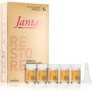 Farmona Jantar Amber Essence restorative treatment for damaged hair 5x5 ml