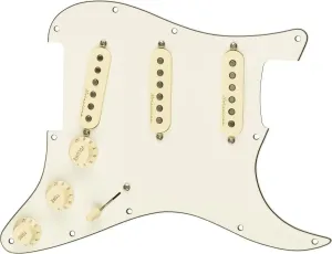 Fender Pre-Wired Strat SSS V NSLS #19998