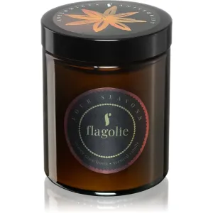 Flagolie Four Seasons Anise & Mint scented candle 120 g