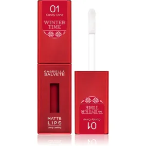 Gabriella Salvete Winter Time Long-Lasting Matte Liquid Lipstick Shade 01 Candy Cane 4,5 ml