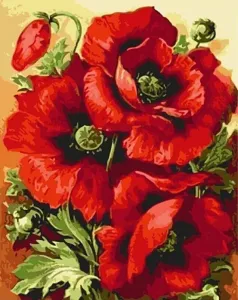 Gaira Painting by Numbers Poppies 2