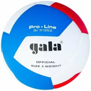 Gala Pro Line 12 Indoor Volleyball