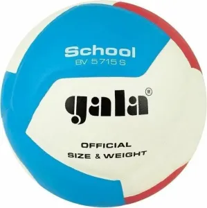 Gala School 12 Indoor Volleyball