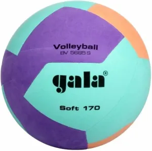 Gala Soft 170 Classic Indoor Volleyball #1563591