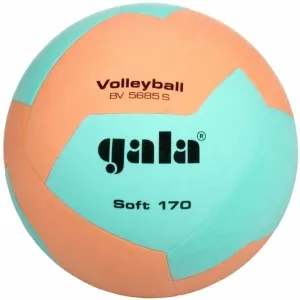 Gala Soft 170 Classic Indoor Volleyball #1563590