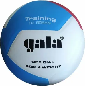 Gala Training 12 Indoor Volleyball