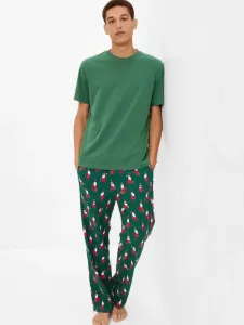GAP Pajama pants Green #76363