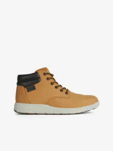Geox Hallson Ankle boots Brown