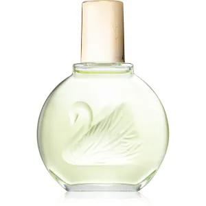 Gloria Vanderbilt Jardin a New York eau de parfum for women 100 ml
