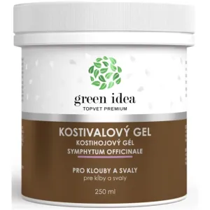 Green Idea Kostivalový gel massage gel for muscles and joints 250 ml