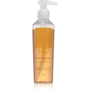 Gyada Cosmetics Reinassance cleansing micellar gel 200 ml