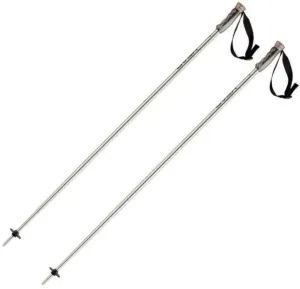Head Multi Brushed Aluminium Black 110 cm Ski Poles