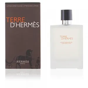 HermesTerre D'Hermes After Shave Lotion 100ml/3.3oz