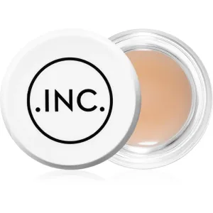 INC.redible Salve the Day Protective Balm For Face And Sensitive Areas 10 g