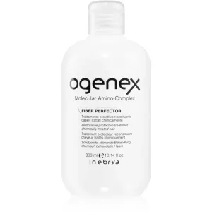 Inebrya Ogenex regenerating treatment for chemically treated hair 300 ml #255001