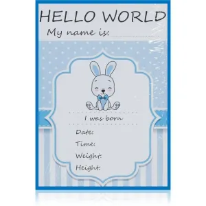 KidPro Milestone Cards Bunny For a Boy milestone cards