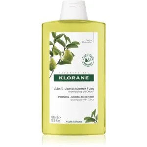 Klorane Cédrat purifying shampoo for normal to oily hair 400 ml