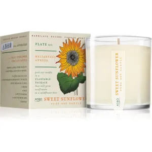 KOBO Plant The Box Sweet Sunflower scented candle 283 g #247510