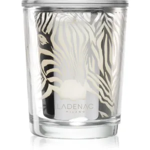Ladenac Africa Zebra Camouflage scented candle 70 g #265701