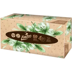 Linteo Paper Tissues Two-ply Paper, 100 pcs per box paper tissues 100 pc