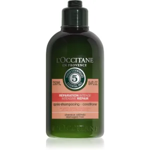 L’Occitane Aromachologie regenerating conditioner for dry and damaged hair 250 ml #233062