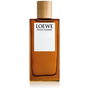 Loewe Loewe Pour Homme eau de toilette for men 100 ml
