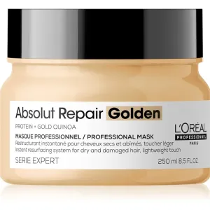 L’Oréal Professionnel Serie Expert Absolut Repair regenerating mask for dry and damaged hair 250 ml #249382