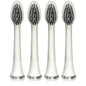 Magnitudal MagniCarbon MQ664 toothbrush replacement heads 4 pc