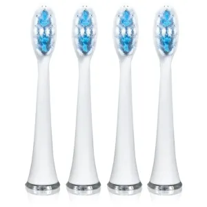 Magnitudal MagniSwift MQ862 toothbrush replacement heads 4 pc