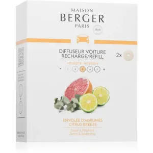 Maison Berger Paris Citrus Breeze car air freshener refill 2x17 g