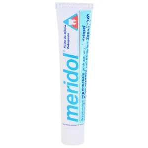 Meridol Gum Protection toothpaste supporting regeneration of irritated gums 75 ml